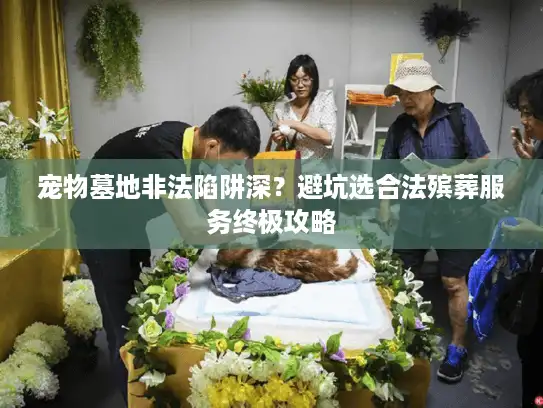 宠物墓地非法陷阱深？避坑选合法殡葬服务终极攻略