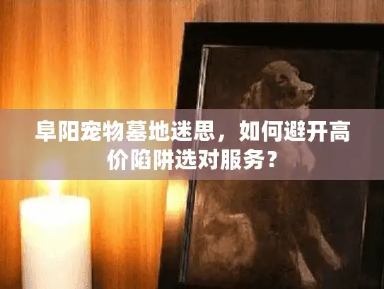 阜阳宠物墓地迷思，如何避开高价陷阱选对服务？
