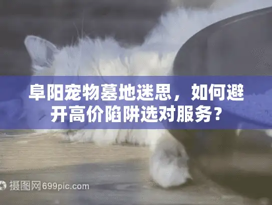 阜阳宠物墓地迷思，如何避开高价陷阱选对服务？