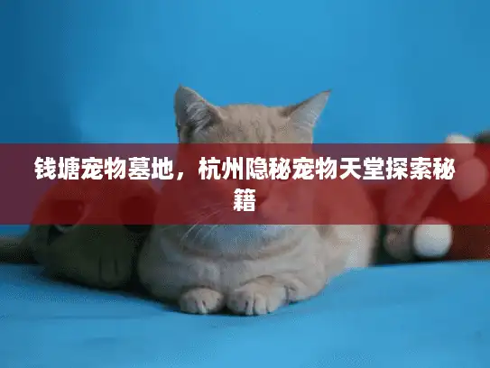 钱塘宠物墓地，杭州隐秘宠物天堂探索秘籍