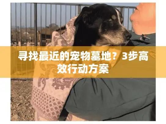 寻找最近的宠物墓地？3步高效行动方案