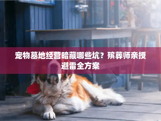 宠物墓地经营暗藏哪些坑？殡葬师亲授避雷全方案