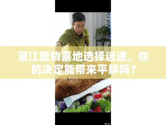湛江宠物墓地选择迷途，你的决定能带来平静吗？