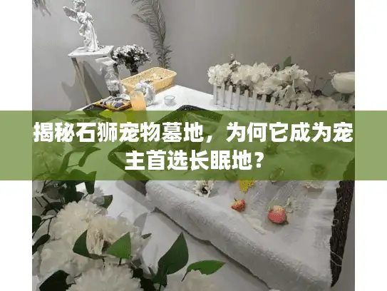 揭秘石狮宠物墓地，为何它成为宠主首选长眠地？