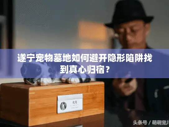 遂宁宠物墓地如何避开隐形陷阱找到真心归宿？