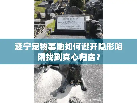 遂宁宠物墓地如何避开隐形陷阱找到真心归宿？