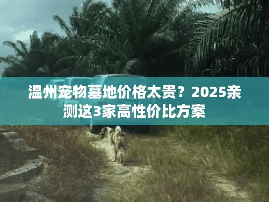温州宠物墓地价格太贵？2025亲测这3家高性价比方案