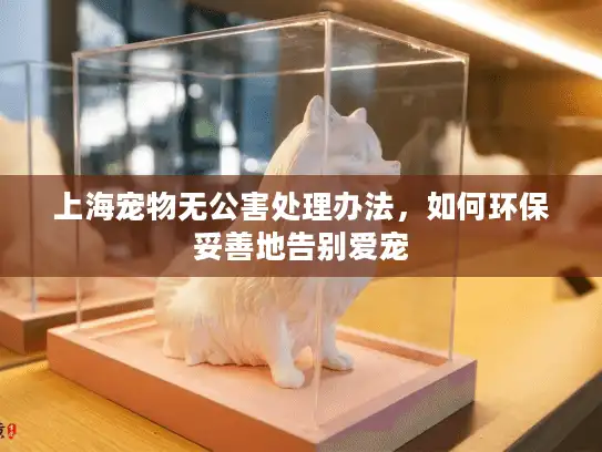 上海宠物无公害处理办法，如何环保妥善地告别爱宠