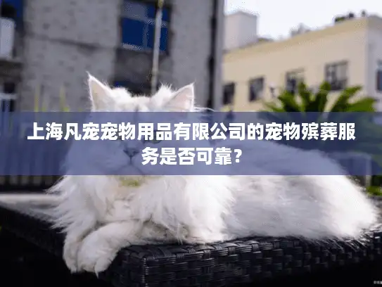 上海凡宠宠物用品有限公司的宠物殡葬服务是否可靠？