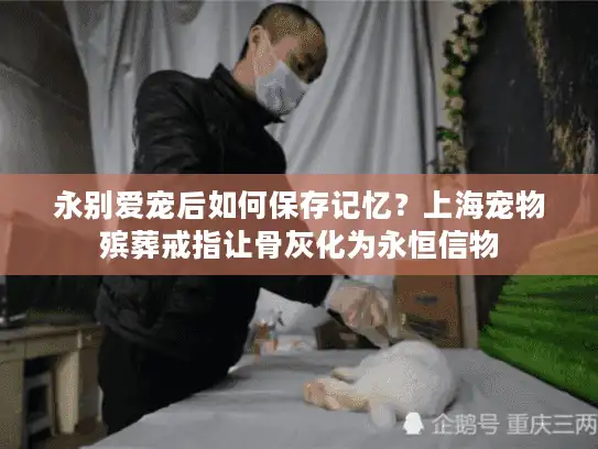 永别爱宠后如何保存记忆？上海宠物殡葬戒指让骨灰化为永恒信物
