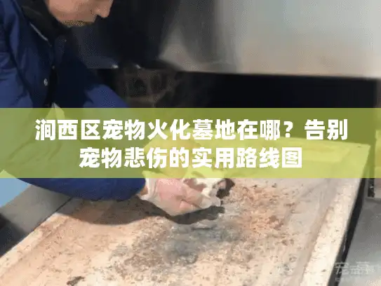 涧西区宠物火化墓地在哪？告别宠物悲伤的实用路线图