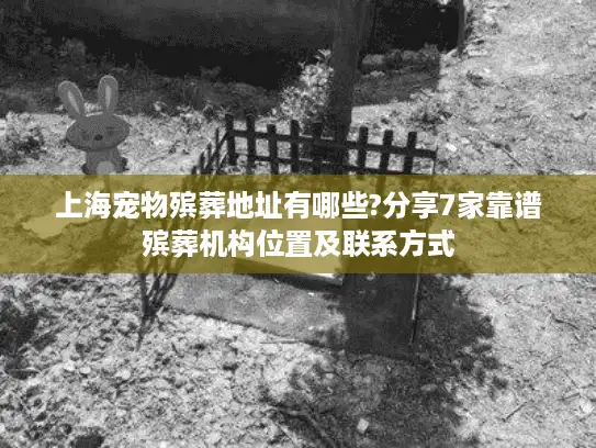 上海宠物殡葬地址有哪些?分享7家靠谱殡葬机构位置及联系方式
