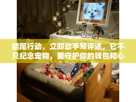 结尾行动，立即动手写评述，它不只纪念宠物，更守护你的钱包和心灵