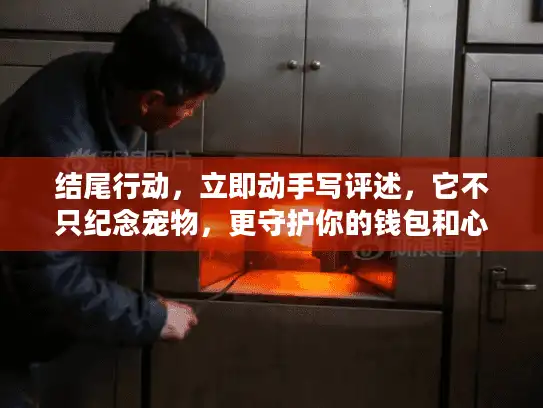 结尾行动，立即动手写评述，它不只纪念宠物，更守护你的钱包和心灵