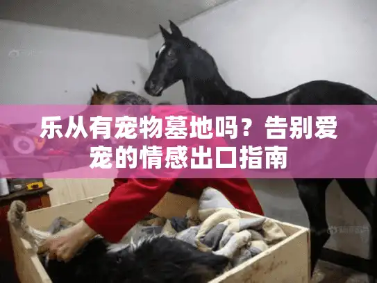 乐从有宠物墓地吗？告别爱宠的情感出口指南