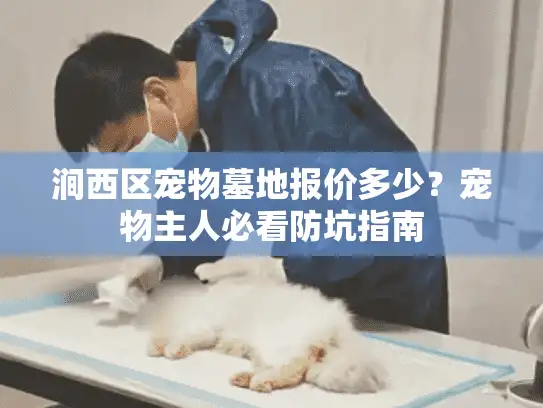 涧西区宠物墓地报价多少？宠物主人必看防坑指南