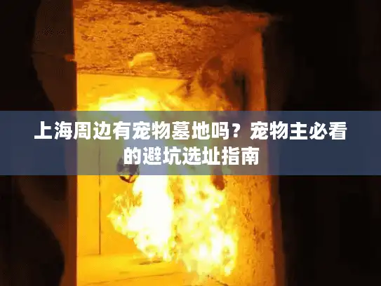 上海周边有宠物墓地吗？宠物主必看的避坑选址指南