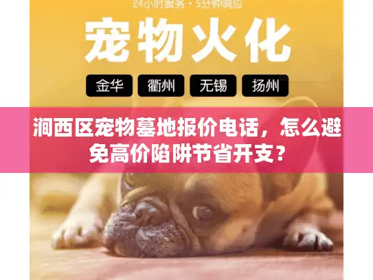 涧西区宠物墓地报价电话，怎么避免高价陷阱节省开支？