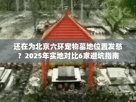 还在为北京六环宠物墓地位置发愁？2025年实地对比6家避坑指南
