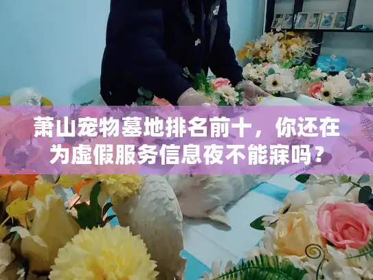 萧山宠物墓地排名前十，你还在为虚假服务信息夜不能寐吗？