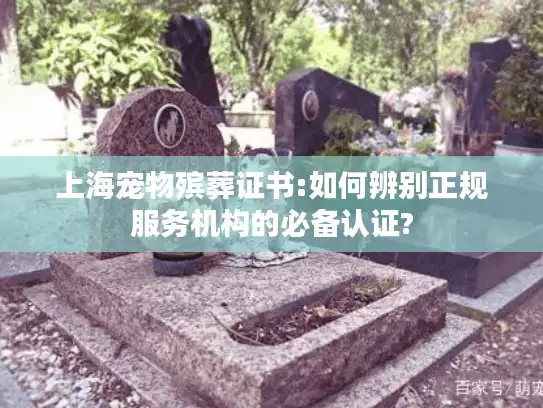 上海宠物殡葬证书:如何辨别正规服务机构的必备认证?