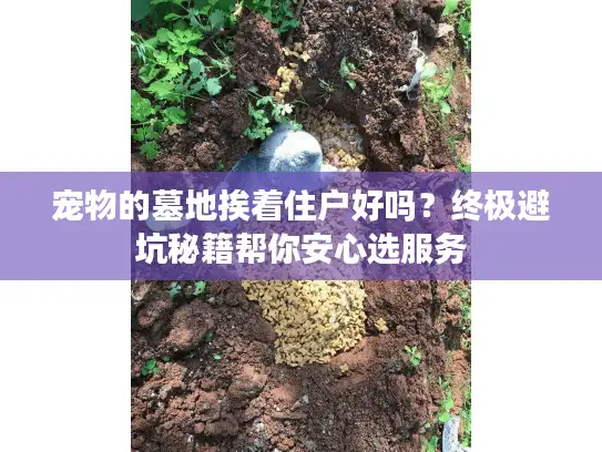 宠物的墓地挨着住户好吗？终极避坑秘籍帮你安心选服务