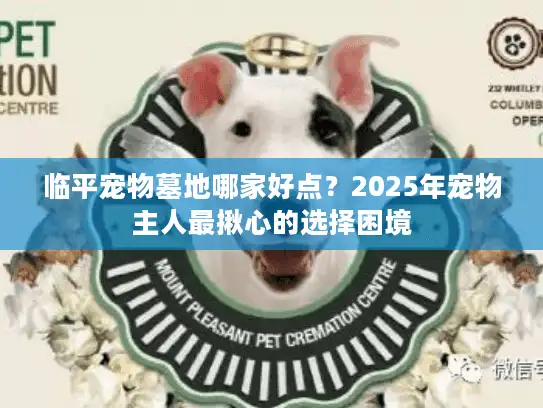 临平宠物墓地哪家好点？2025年宠物主人最揪心的选择困境