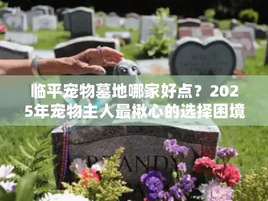 临平宠物墓地哪家好点？2025年宠物主人最揪心的选择困境