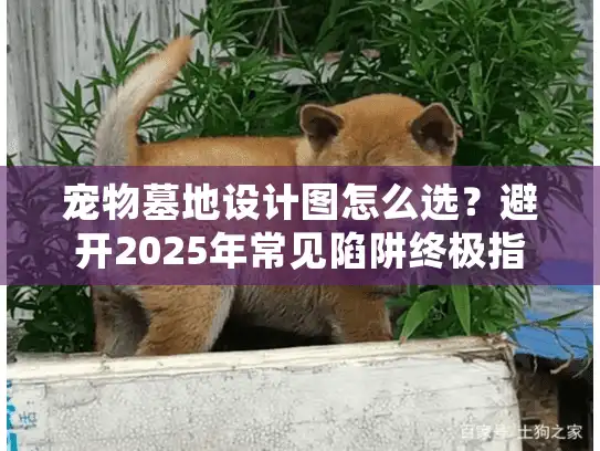 宠物墓地设计图怎么选？避开2025年常见陷阱终极指南