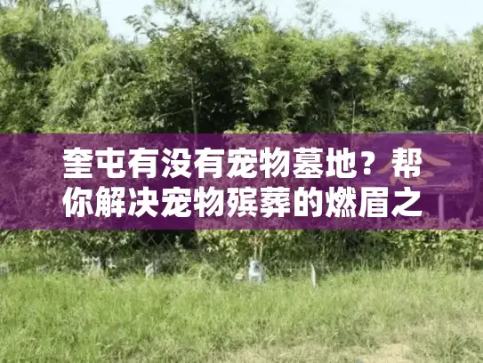 奎屯有没有宠物墓地？帮你解决宠物殡葬的燃眉之急