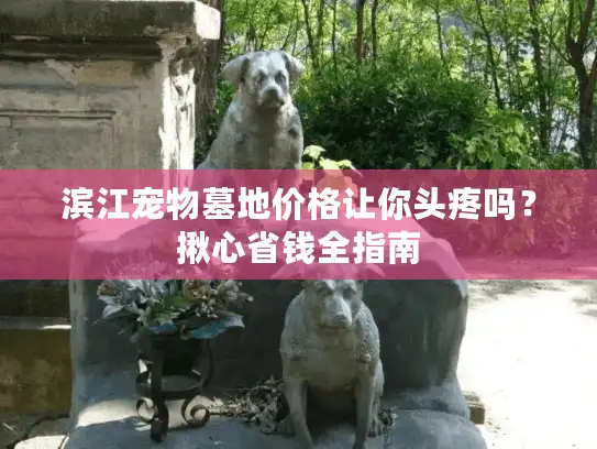滨江宠物墓地价格让你头疼吗？揪心省钱全指南