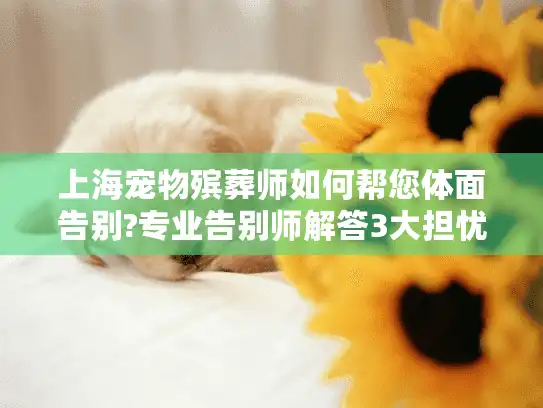 上海宠物殡葬师如何帮您体面告别?专业告别师解答3大担忧