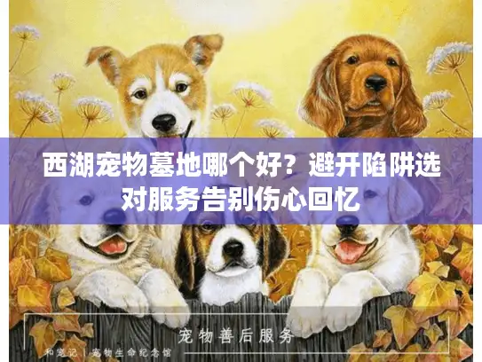 西湖宠物墓地哪个好？避开陷阱选对服务告别伤心回忆