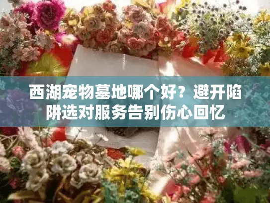 西湖宠物墓地哪个好？避开陷阱选对服务告别伤心回忆
