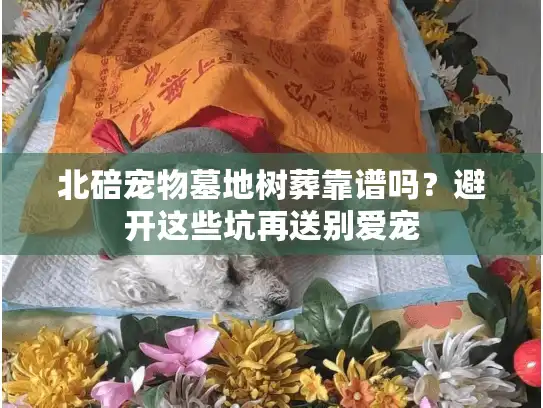 北碚宠物墓地树葬靠谱吗？避开这些坑再送别爱宠