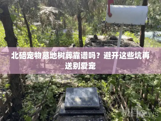 北碚宠物墓地树葬靠谱吗？避开这些坑再送别爱宠
