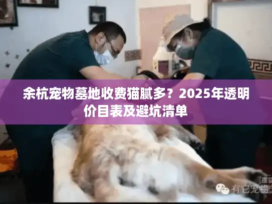 余杭宠物墓地收费猫腻多？2025年透明价目表及避坑清单