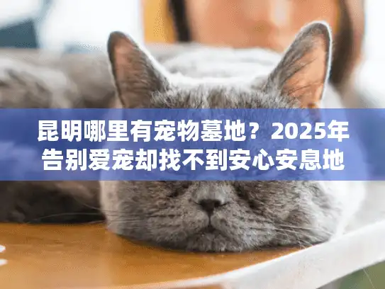 昆明哪里有宠物墓地？2025年告别爱宠却找不到安心安息地的终极解决方案