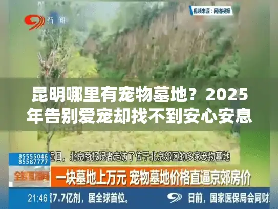 昆明哪里有宠物墓地？2025年告别爱宠却找不到安心安息地的终极解决方案