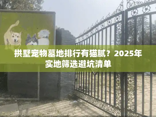 拱墅宠物墓地排行有猫腻？2025年实地筛选避坑清单