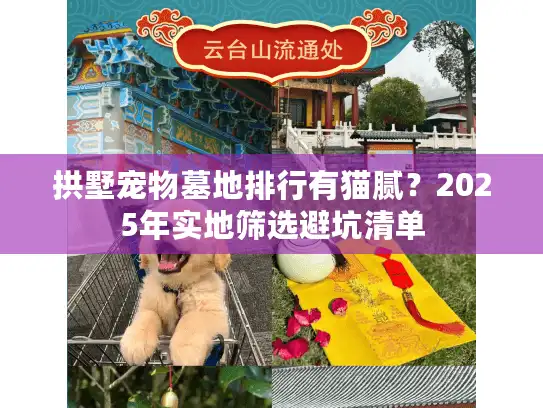 拱墅宠物墓地排行有猫腻？2025年实地筛选避坑清单