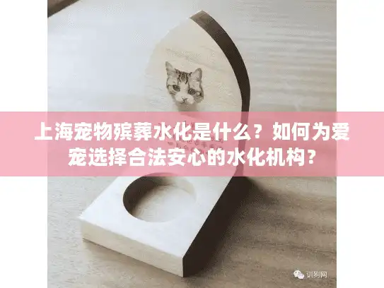 上海宠物殡葬水化是什么？如何为爱宠选择合法安心的水化机构？