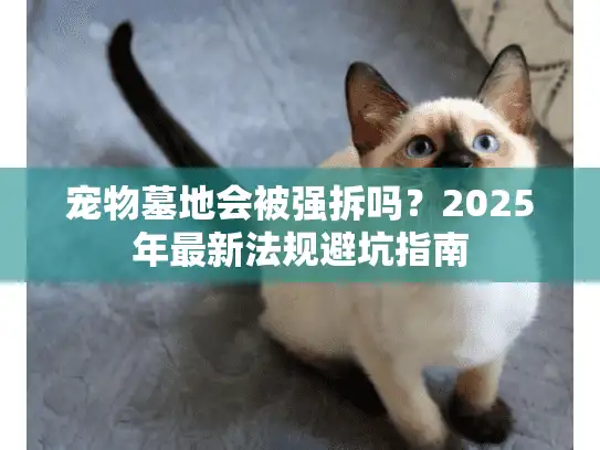 宠物墓地会被强拆吗？2025年最新法规避坑指南