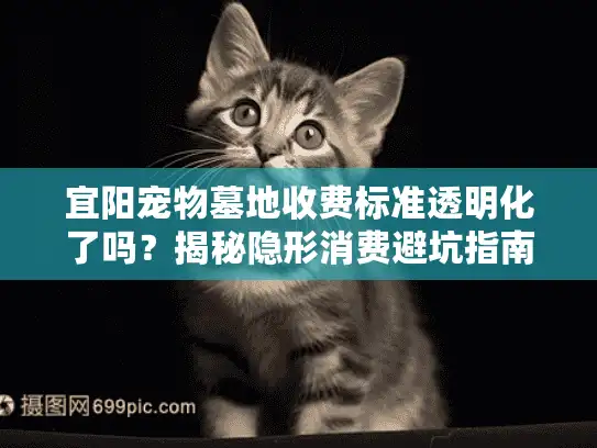 宜阳宠物墓地收费标准透明化了吗？揭秘隐形消费避坑指南