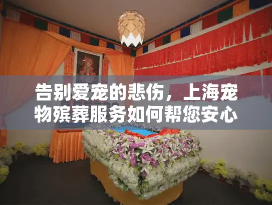 告别爱宠的悲伤，上海宠物殡葬服务如何帮您安心告别？