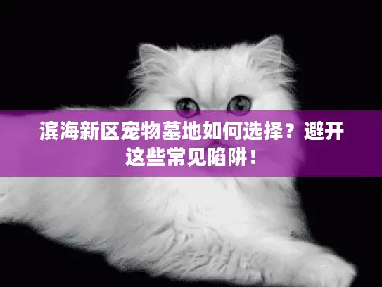 滨海新区宠物墓地如何选择？避开这些常见陷阱！