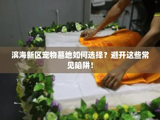 滨海新区宠物墓地如何选择？避开这些常见陷阱！