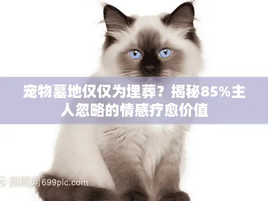宠物墓地仅仅为埋葬？揭秘85%主人忽略的情感疗愈价值