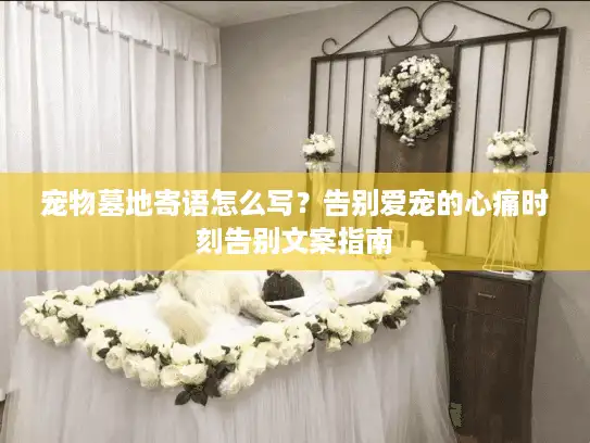 宠物墓地寄语怎么写？告别爱宠的心痛时刻告别文案指南
