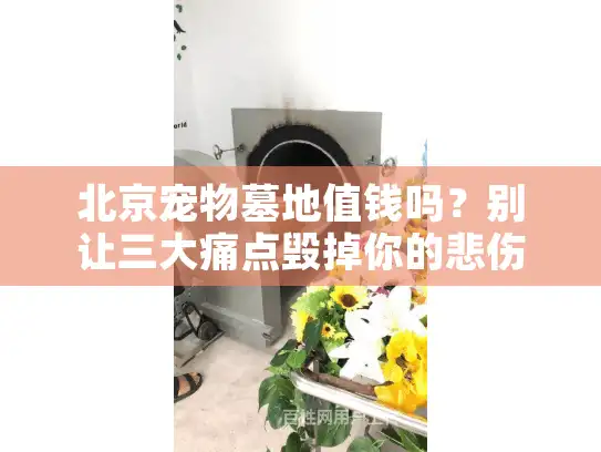 北京宠物墓地值钱吗？别让三大痛点毁掉你的悲伤告别